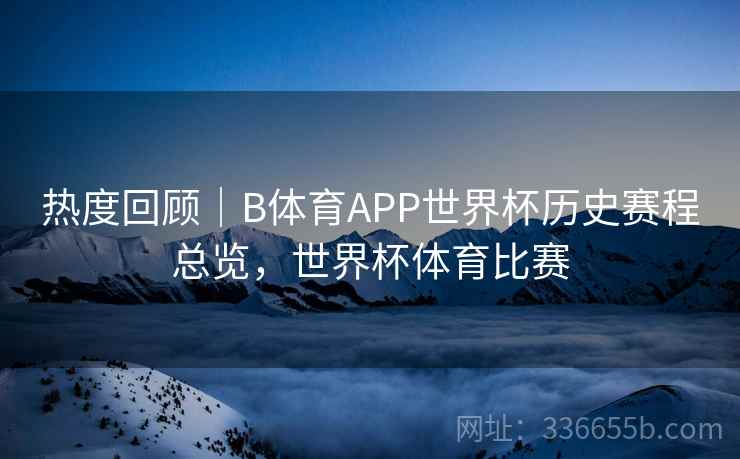 热度回顾｜B体育APP世界杯历史赛程总览，世界杯体育比赛
