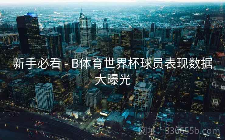 新手必看 - B体育世界杯球员表现数据大曝光